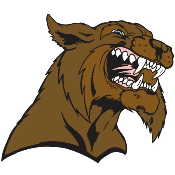 AR5 BOBCAT 21 RQC Thumbnail