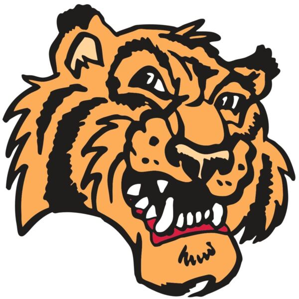 AR2 TIGER 02 RQC Thumbnail